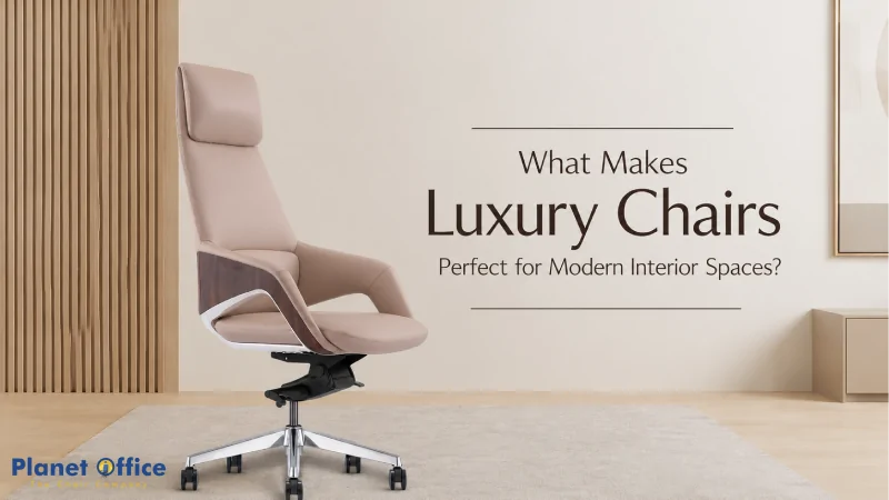 What Makes Luxury Chairs Perfect for Modern Interior Spaces?