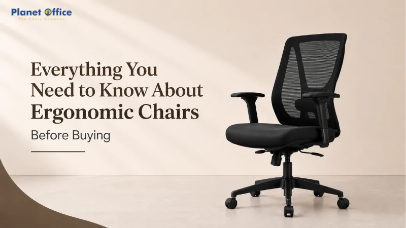 Everything You Need to Know About Ergonomic Chairs Before Buying